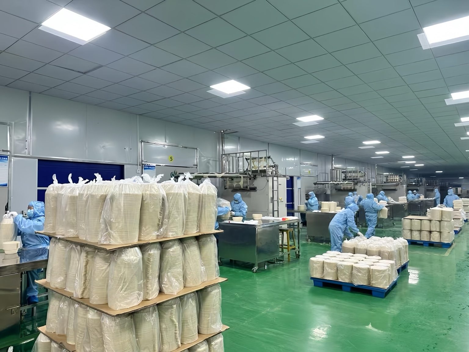Bagasse tableware production line in a clean factory