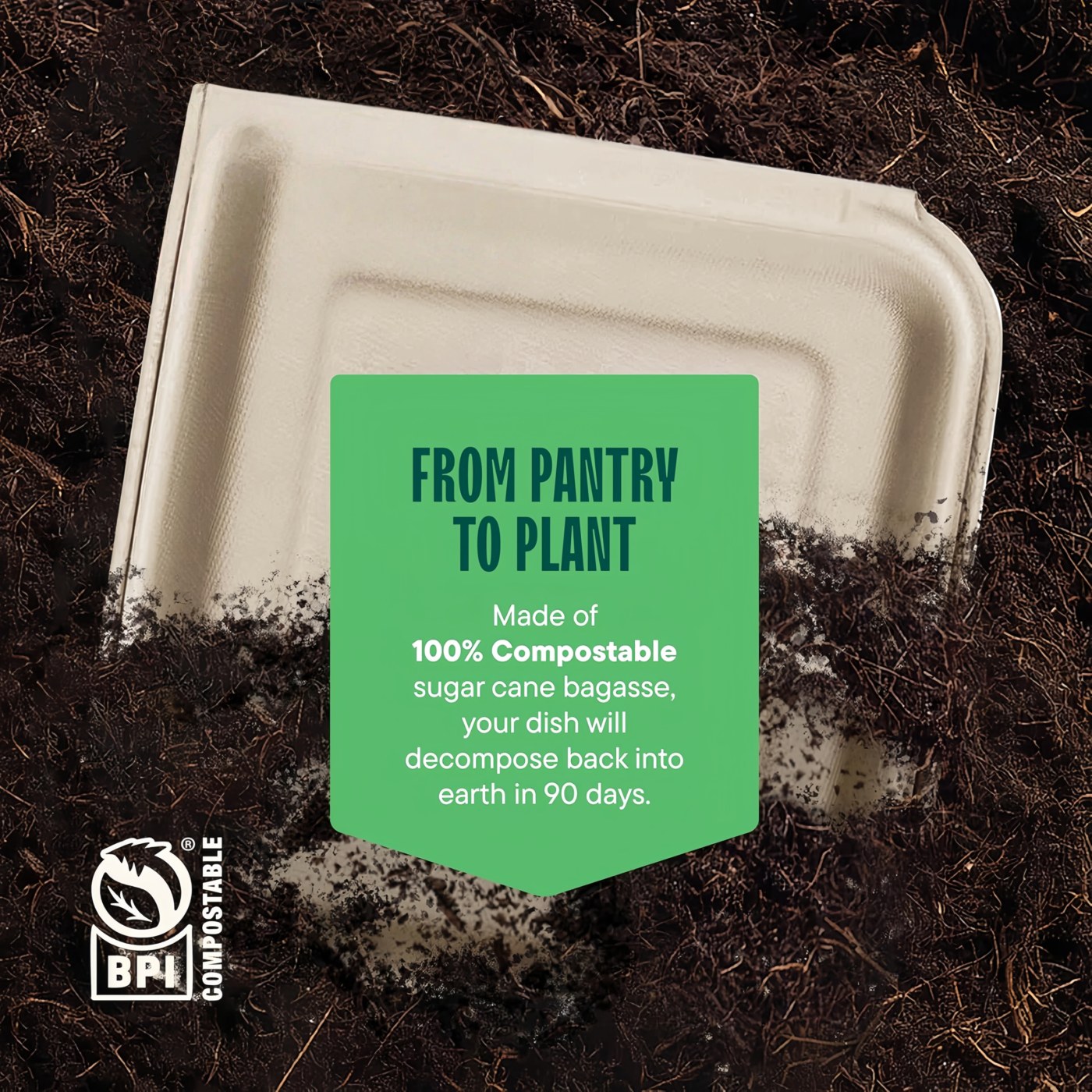 8" x 8" Standard Clamshell thumbnail 8