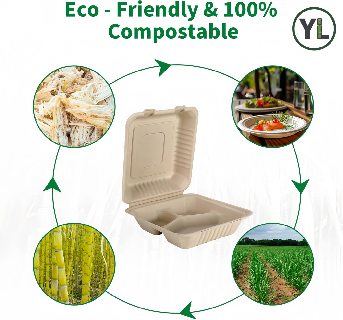 9" x 9" 3-Comp Clamshell thumbnail 6