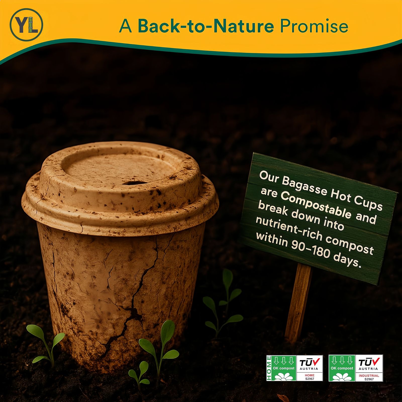 16oz Bagasse Hot Cup Set (Lids + Sleeves) thumbnail 4