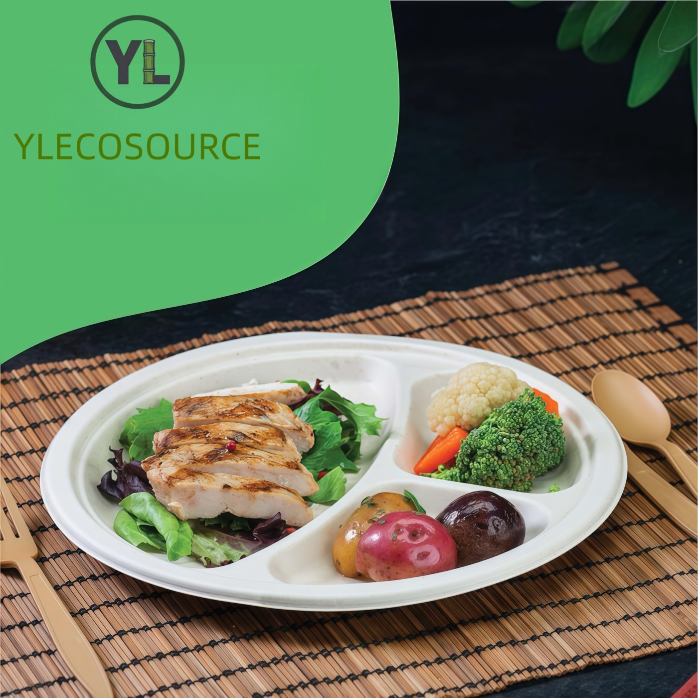 10-inch 3-Comp Plate thumbnail 4